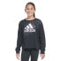 Фото #8 товара Big Girls Cotton Long-Sleeve Crewneck Graphic T-Shirt