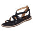 Фото #1 товара El Naturalista N5691black