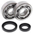 Фото #1 товара All Balls Suzuki RM85 2002-2024 crank shaft bearing&seal kit