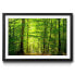 Фото #1 товара Gerahmtes Bild Into The Forest