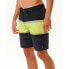 Фото #3 товара RIP CURL Mirage Daybreaker 19´´ Swimming Shorts