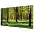 Фото #4 товара Magnettafel Waldwiese