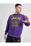 Фото #1 товара Los Angeles Lakers Erkek Mor Basketbol Sweatshirt DN4718-508