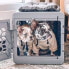 Фото #5 товара KindTail PAWD Cat and Dog Crate - S - Gray