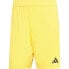 Фото #3 товара ADIDAS Juventus 23/24 Shorts Training