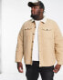 Threadbare Plus borg lined overshirt shacket in camel