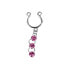 Фото #4 товара Nippelclip mit Strass­anhänger