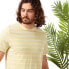 ფოტო #5 პროდუქტის CRAGHOPPERS NosiBotanical Sten short sleeve T-shirt