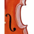 Hidersine Vivente Cello Set 4/4