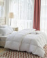 400 Thread Count Pure Cotton Shell Luxurious Down Alternative Comforter, Twin