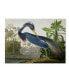 Фото #1 товара John James Audubon 'Louisiana Heron' Canvas Art - 24" x 18"