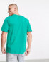 Nicce hegira t-shirt in bottle green