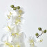 Фото #6 товара Kunstblume Orchidee Gesteck mit topf