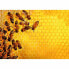 Puzzle Ravensburger Challenge 17362 Beehive 1000 Pieces