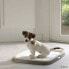 Фото #4 товара Защитный комбинезон для собак Savic Puppy Starter Kit 46x35см (маленький) - Зоотовары