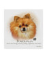 Фото #1 товара Howard Robinson 'Pomeranian' Canvas Art - 18" x 18"