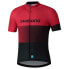 Фото #1 товара SHIMANO Team short sleeve jersey