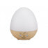 Aroma diffuser / humidifier P205DIF001