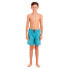 PROTEST Hein Swimming Shorts