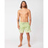 RIP CURL Alcion Volley Swimming Shorts