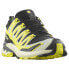 SALOMON Xa Pro 3D V9 Goretex trail running shoes