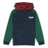 Фото #3 товара Element Cornell Script hoodie