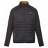 Men's Sports Jacket Regatta Clumber IV Hybrid Black