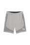 Фото #38 товара Evostripe Shorts 8 Erkek Şort