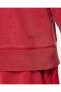 Фото #3 товара Air Jordan Nba Hoodie Erkek Kırmızı Basketbol Sweatshirt Da9860-687