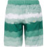 PROTEST Abel Swimming Shorts