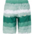 Фото #2 товара PROTEST Abel Swimming Shorts