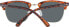 Фото #3 товара Replay Sonnenbrille RY503 CS02 53 Unisex Braun