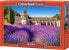 Фото #1 товара Пазл развивающий Castorland Lavender Field in Provence 1000 элементов