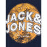 Фото #6 товара JACK & JONES Bloomer sweatshirt