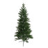 Фото #1 товара Tannenbaum Flemma I