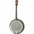 Фото #1 товара Gold Tone IT-250-F Irish Tenor Banjo w/C