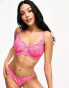 Фото #2 товара Ivory Rose Fuller Bust bold floral lace balconette bra in hot pink