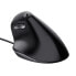 Фото #8 товара Trust Bayo Vertical ergonomic mouse - Right-hand - Optical - USB Type-A - 4200 DPI - Black