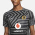 Фото #3 товара NIKE Kaizer Chiefs Dri Fit Pre Match 22/23 Short Sleeve T-Shirt