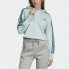 Фото #3 товара Толстовка Adidas Originals Trendy Clothing EJ9344