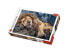 Фото #4 товара Puzzle Schlafender Löwe 1000 Teile