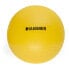 Фото #1 товара FINNLO Gym 55 cm Ball