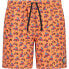 CMP 33R9114 Swimming Shorts