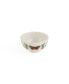 Фото #2 товара Botanic Garden Harmony Bowl, Set of 4