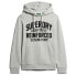 Фото #1 товара SUPERDRY Embroidere Script Graphic hoodie