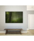 Фото #4 товара 20" x 16" Maier - Forest Morning Museum Mounted Canvas Print