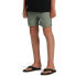 Фото #5 товара QUIKSILVER Taxer Shorts