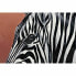 Painting DKD Home Decor Zebra (80 x 3 x 160 cm)
