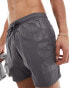 BOSS octopus swim short in medium grey