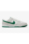 Фото #1 товара DUNK LOW RETRO SPOR AYAKKABI RENKLİ DV0831107 E-131